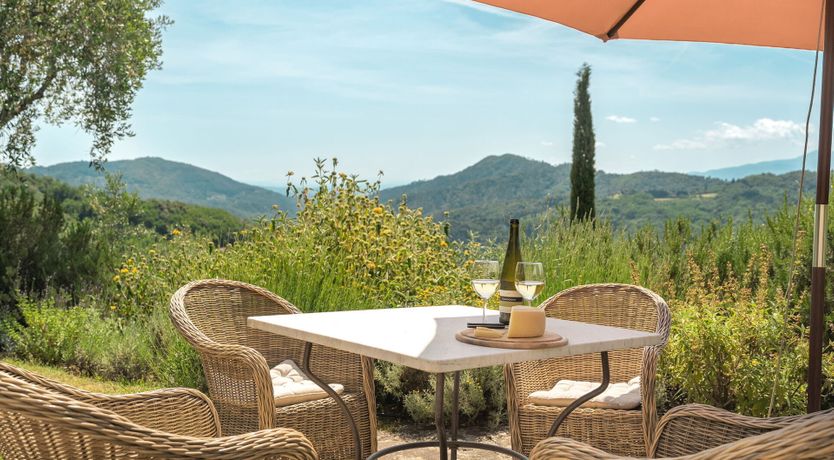 Photo of Olive Trees & Rolling Hills