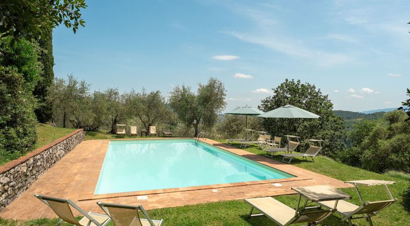 Photo of Olive Trees & Rolling Hills