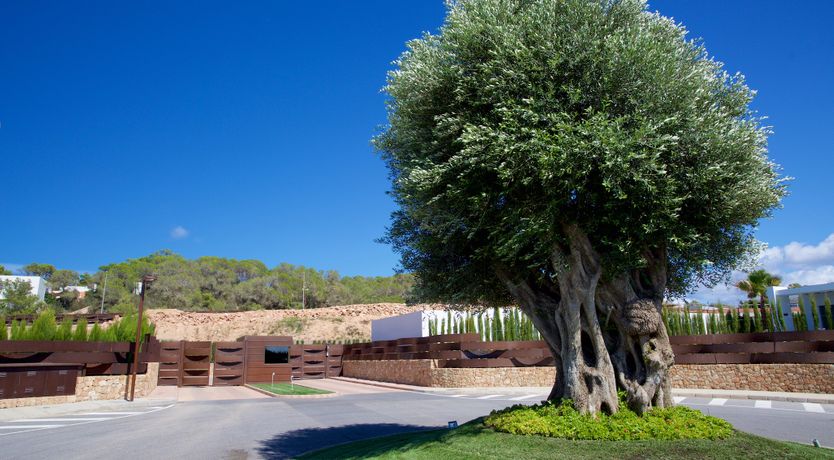 Photo of Cala Conta Dream