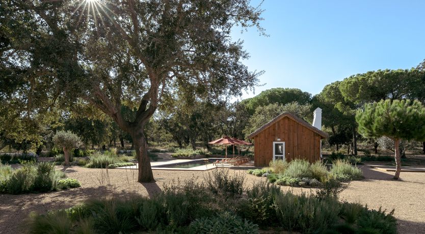 Photo of The Open Orchard
