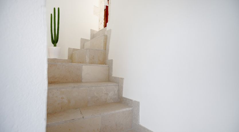 Photo of Ivory Light