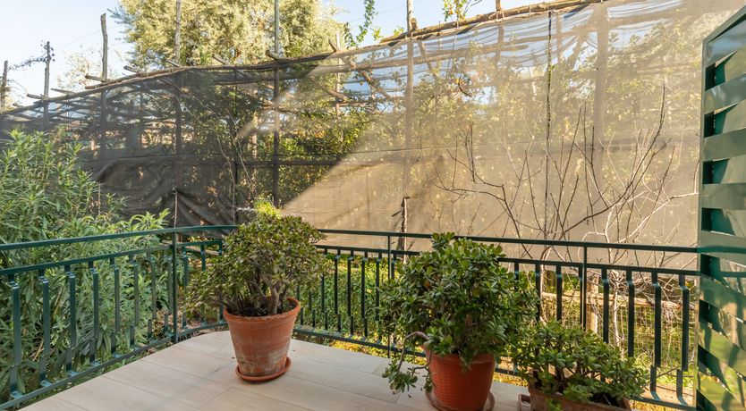 Photo of Sorrento Light