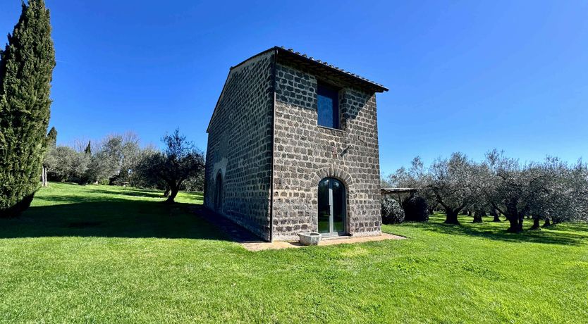 Photo of Tuscan Olive