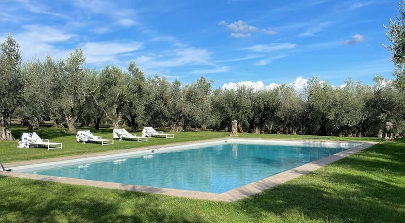 Photo of Tuscan Olive