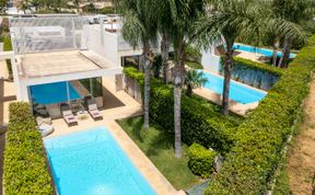 Photo of Palm Tree Terrace