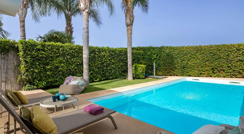 Photo of Palm Tree Terrace