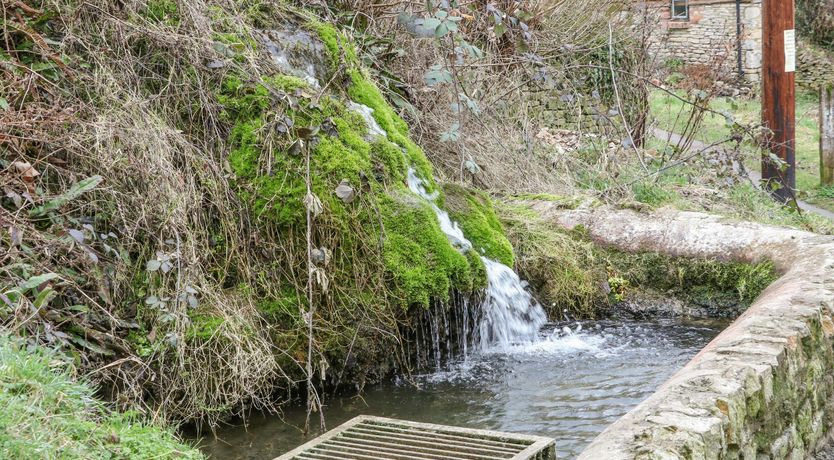 Photo of Wilderwood