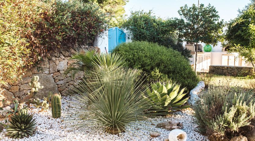 Photo of The Light of Joy