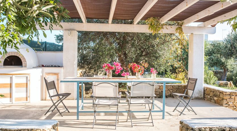 Photo of The Light of Joy