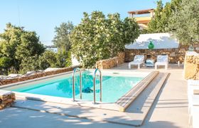 Photo of the-light-of-joy