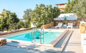 Photo of The Light of Joy