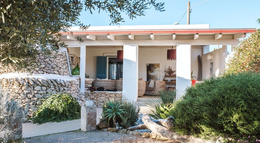 Photo of The Light of Joy