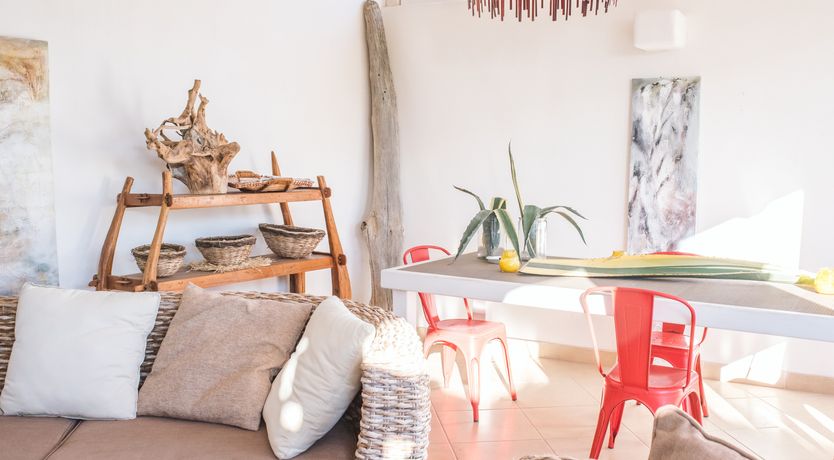 Photo of The Light of Joy