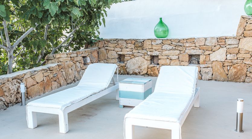 Photo of The Light of Joy