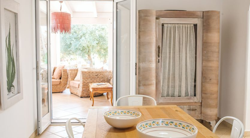 Photo of The Light of Joy