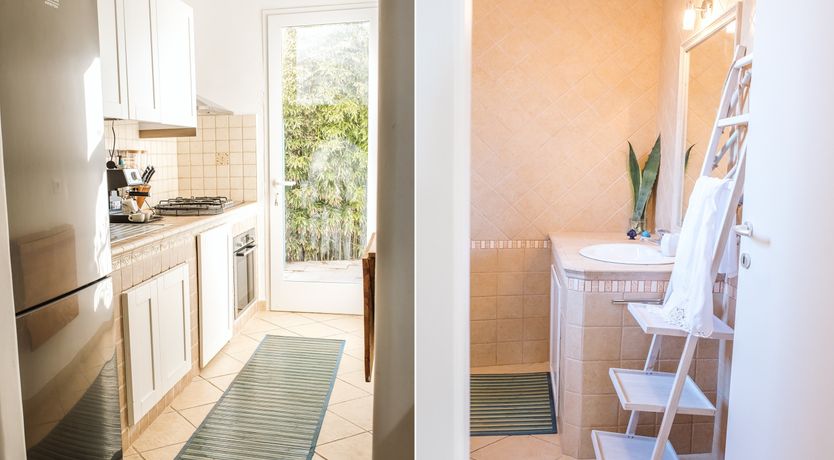 Photo of The Light of Joy