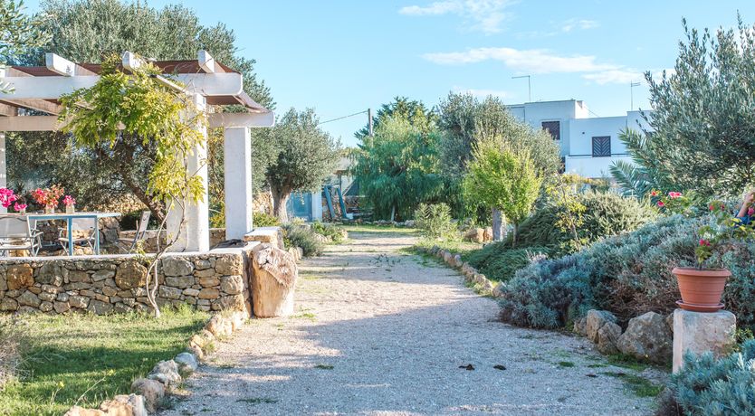 Photo of The Light of Joy