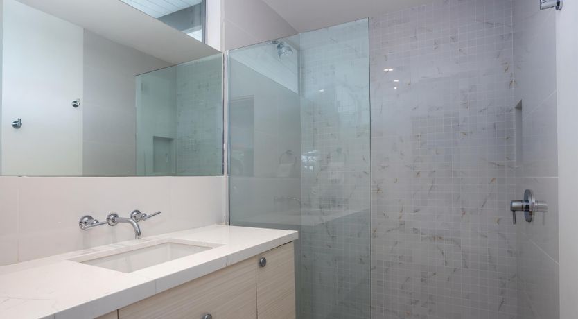 Photo of Palm Tree Dreams