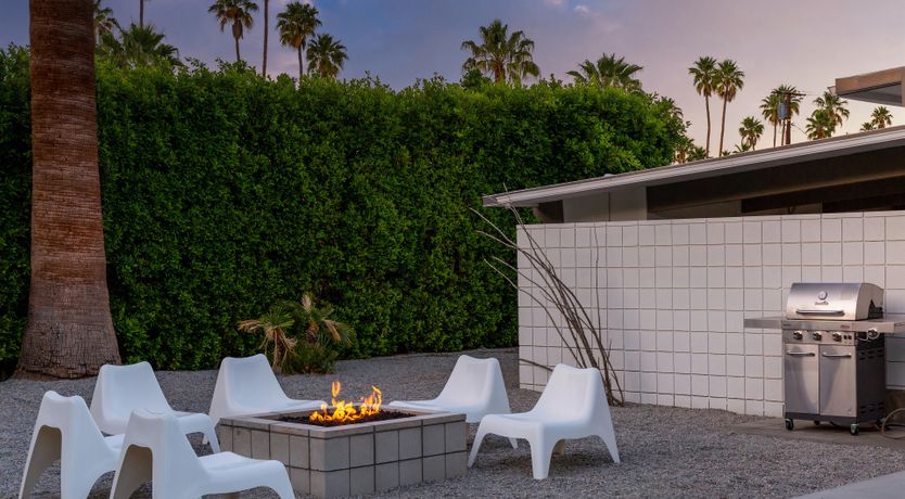 Photo of Palm Tree Dreams