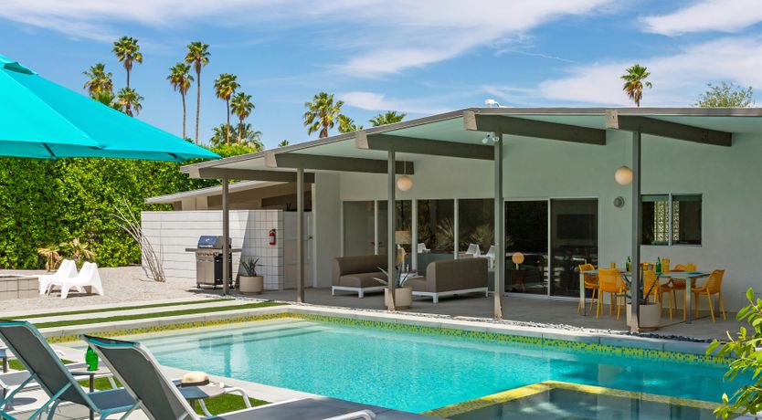 Photo of Palm Tree Dreams