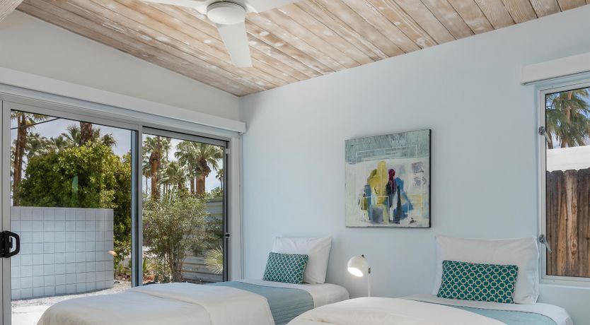 Photo of Palm Tree Dreams