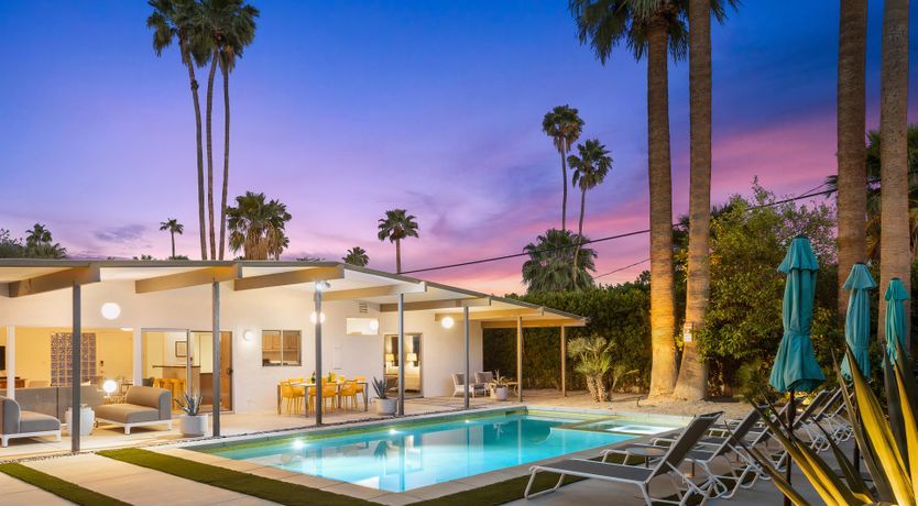 Photo of Palm Tree Dreams