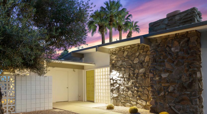 Photo of Palm Tree Dreams