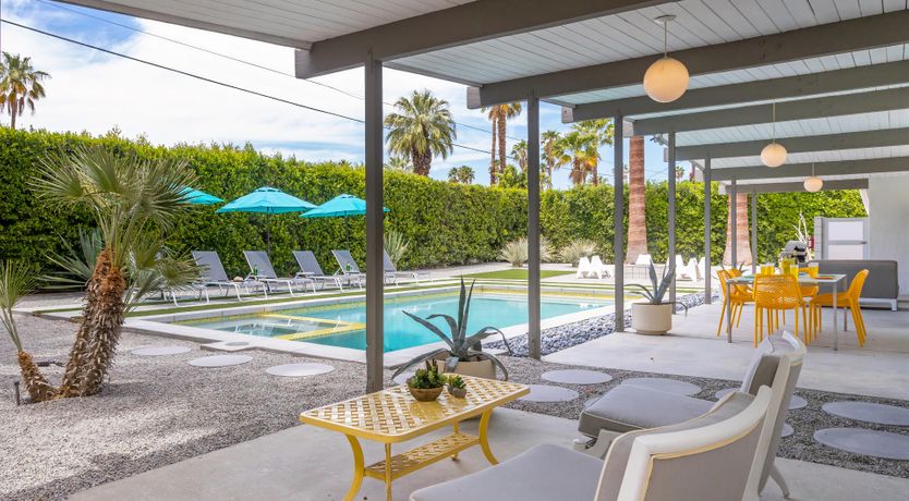 Photo of Palm Tree Dreams