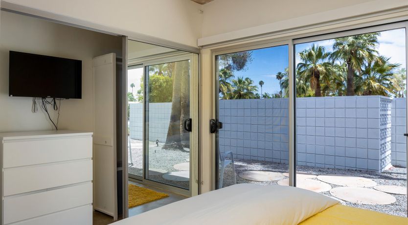 Photo of Palm Tree Dreams