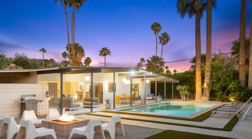 Photo of Palm Tree Dreams