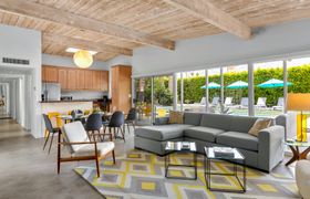 Photo of palm-tree-dreams