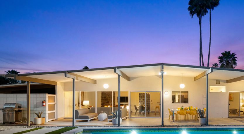 Photo of Palm Tree Dreams