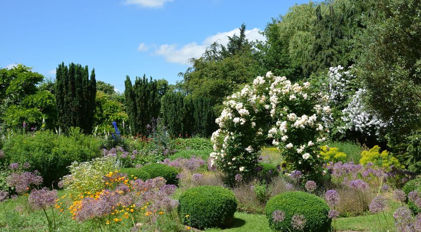 Photo of The Fireside Fortunes