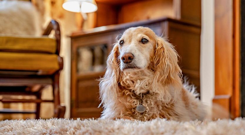 Photo of 1 Bed in Penrith