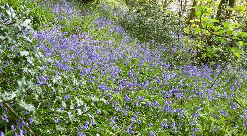 Photo of 3 Bed in Fishguard