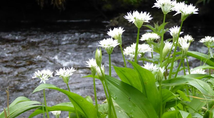 Photo of 3 Bed in Fishguard