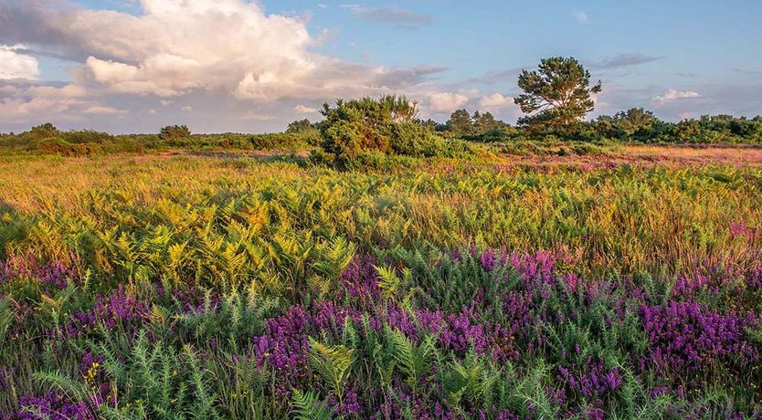 Photo of 2 Bed in Weybourne