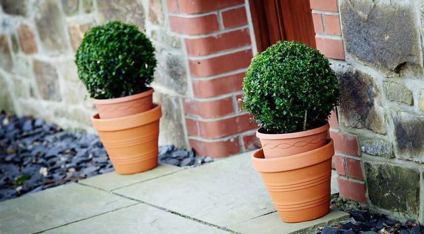 Photo of 2 Bed in Pwllheli