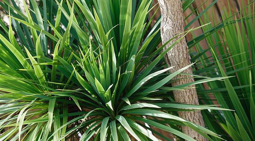 Photo of 2 Bed in Pwllheli