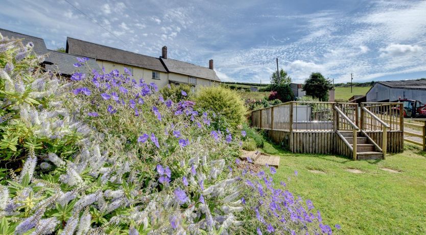 Photo of 1 Bed in Tiverton