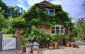 Photo of 1-bed-in-cranbrook-1