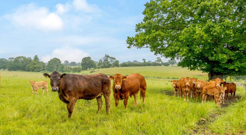 Photo of 2 Bed in Bramfield