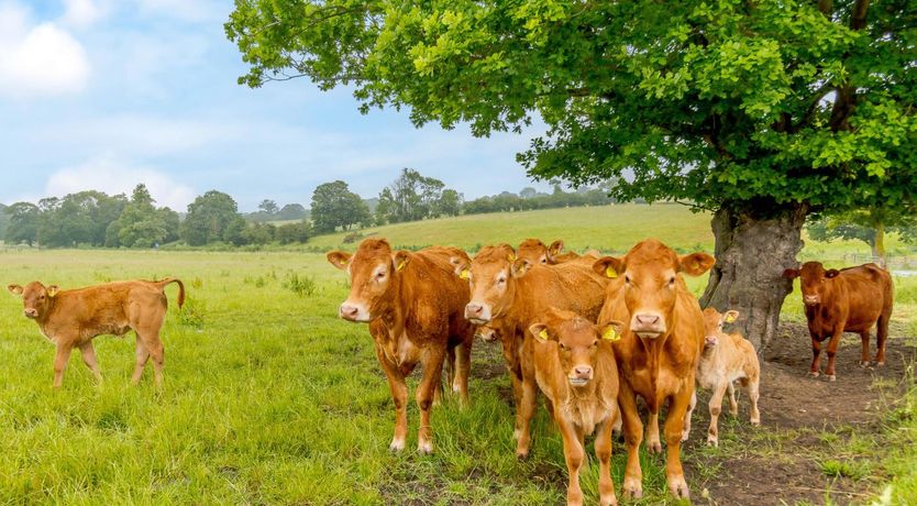 Photo of 2 Bed in Bramfield