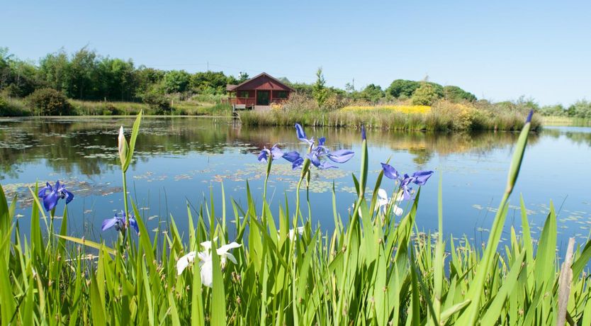 Photo of 1 Bed in Llanerchymedd