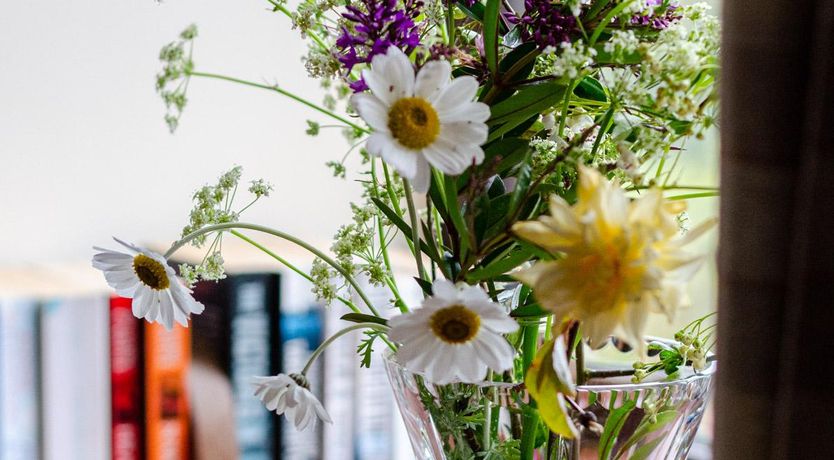 Photo of 1 Bed in Llanerchymedd