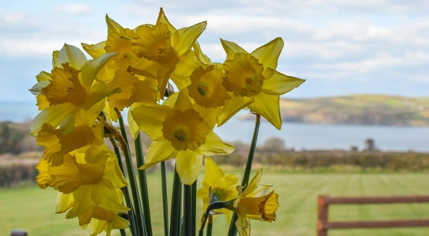 Photo of 2 Bed in Newport