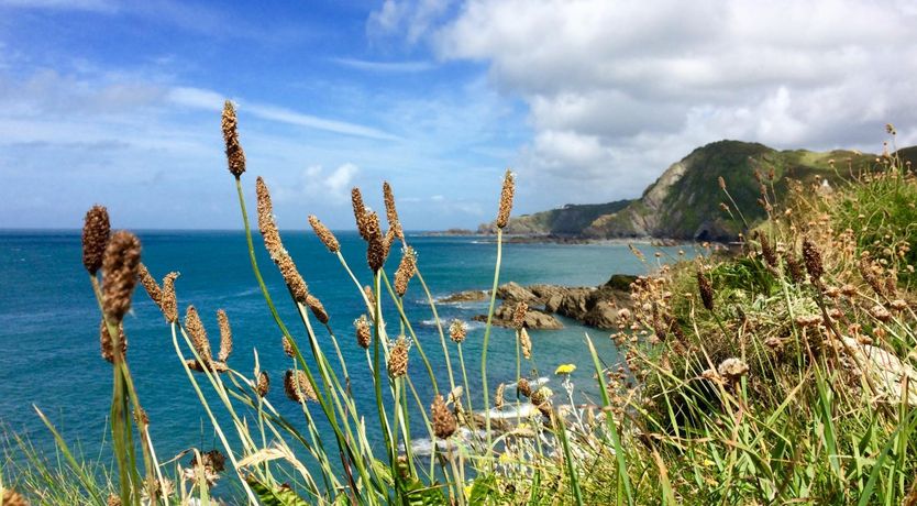 Photo of 2 Bed in Ilfracombe