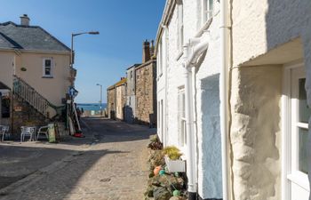 1 Bed in St Ives Holiday Home