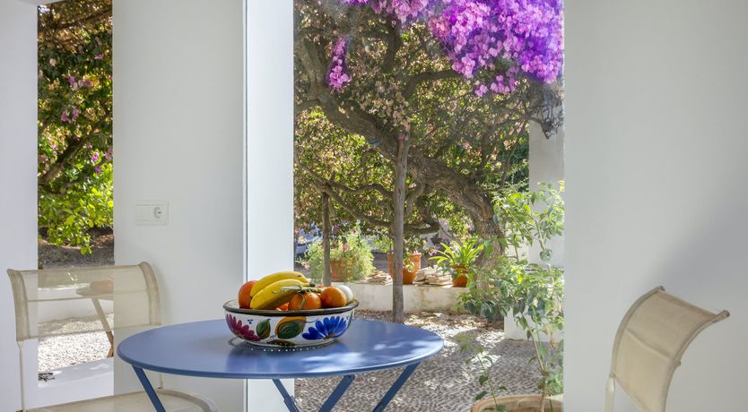 Photo of Beneath the Bougainvillea