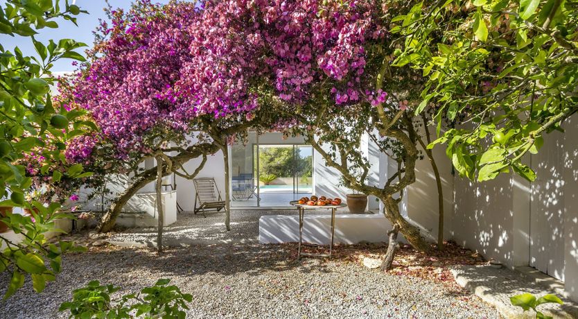 Photo of Beneath the Bougainvillea